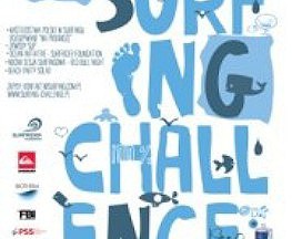 POLISH SURFING CHALLENGE 2012