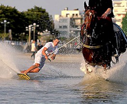HORSE-SURFING
